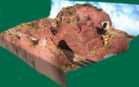 module